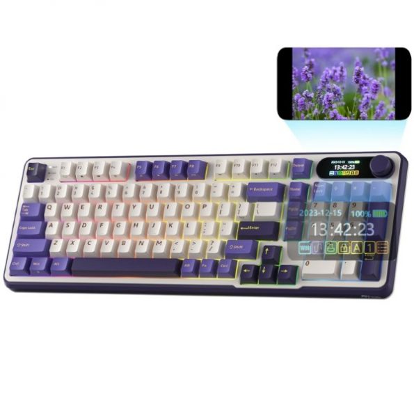 RK ROYAL KLUDGE S98 Mechanical Keyboard Blackberry Blue Switch
