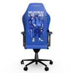 Cybeart Mumbai Indians