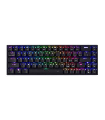 Cosmic Byte CB-GK-40 Artemis 68 Keys RGB Mechanical Keyboard