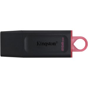 Kingston 256GB DataTraveler Exodia