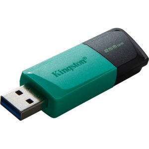 Kingston 256GB DataTraveler Exodia M