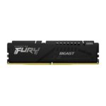 Kingston Fury Beast