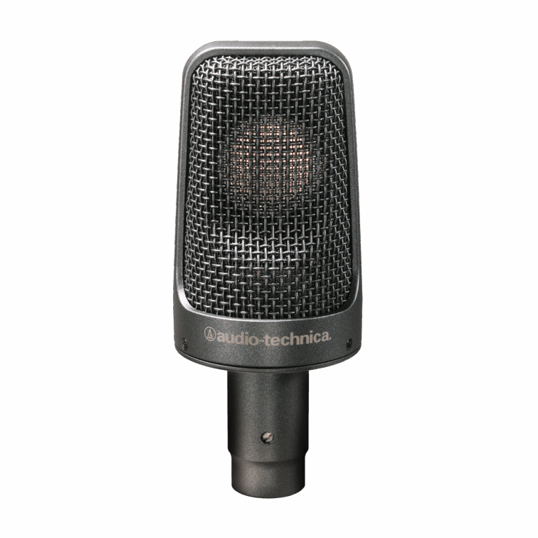 Audio-Technica AE3000 Instrument Condenser Microphone