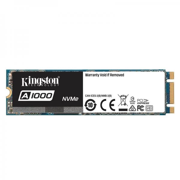 Kingston A1000