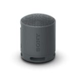 Sony SRS-XB100