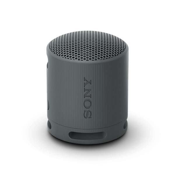 Sony SRS-XB100