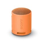 Sony SRS-XB100