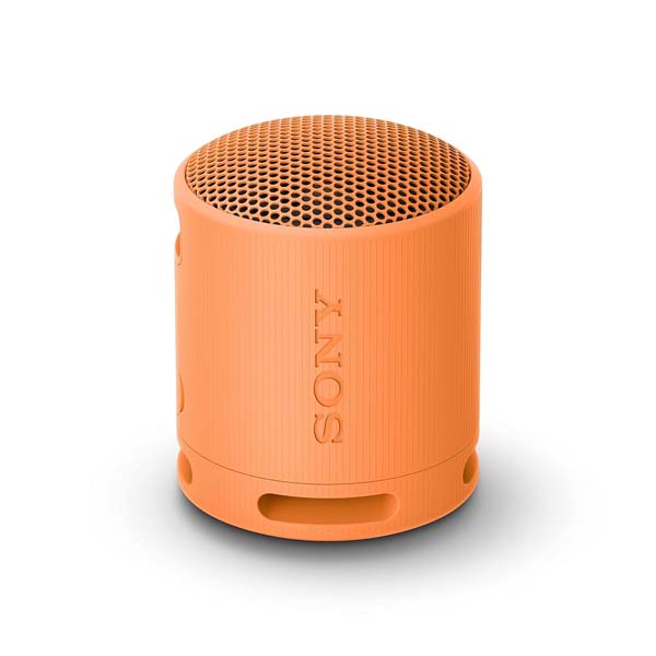 Sony SRS-XB100