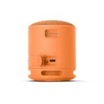Sony SRS-XB100 Wireless Bluetooth Portable Lightweight Super-Compact Travel Speaker (Orange) - Image 3