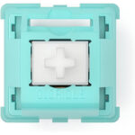 Glorious Lynx Switch (LUBED) - Image 3