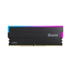 Biwin Opal DW100 48GB