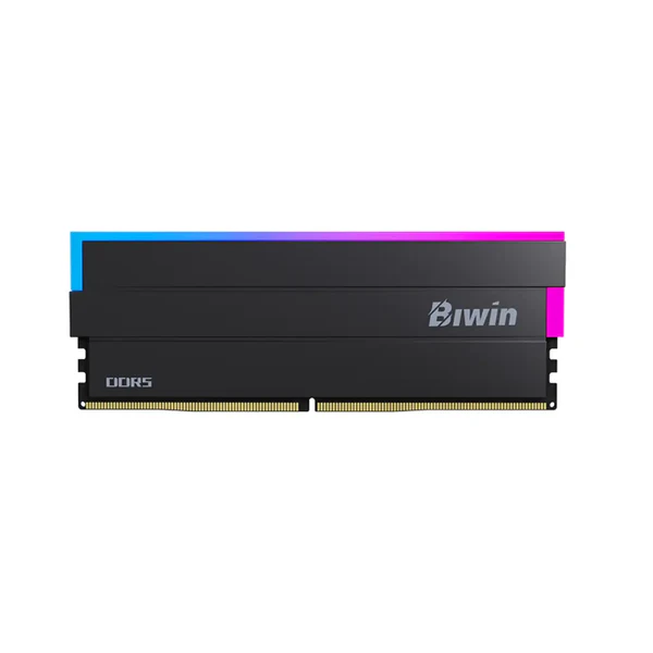 Biwin Opal DW100 48GB
