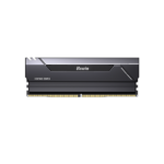 Biwin Black Opal HX100