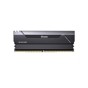 Biwin Black Opal HX100