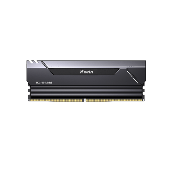 Biwin Black Opal HX100
