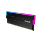 Biwin Opal DW100 48GB