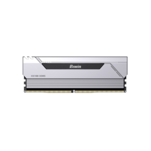 Biwin Black Opal HX100
