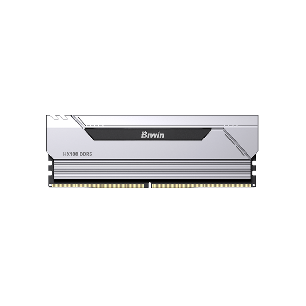 Biwin Black Opal HX100