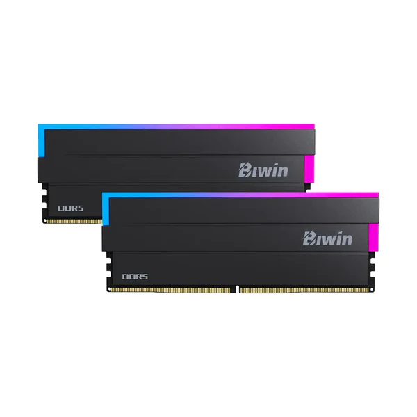 Biwin Opal DW100 48GB
