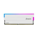 Biwin Opal DW100 48GB