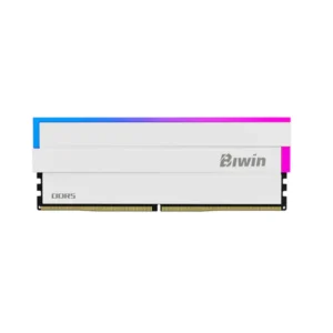 Biwin Opal DW100 48GB