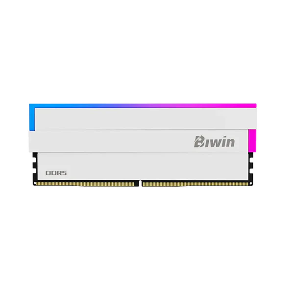 Biwin Opal DW100 48GB