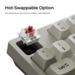 Keychron C2 Pro